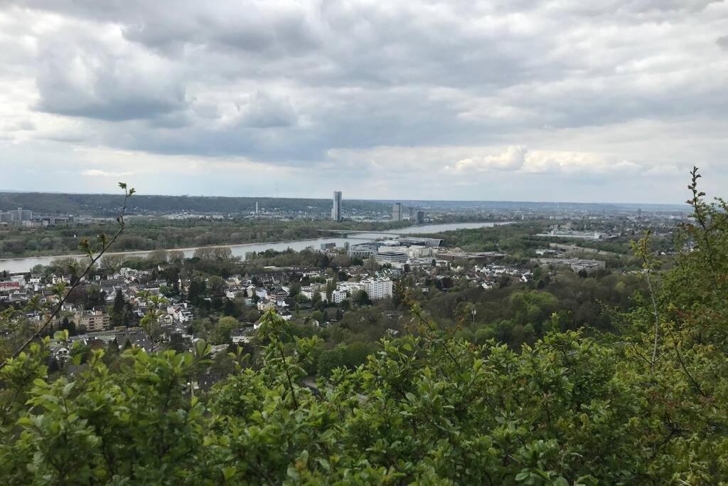 Modern Business Apartment: Central Bonn with Parking Exterior photo